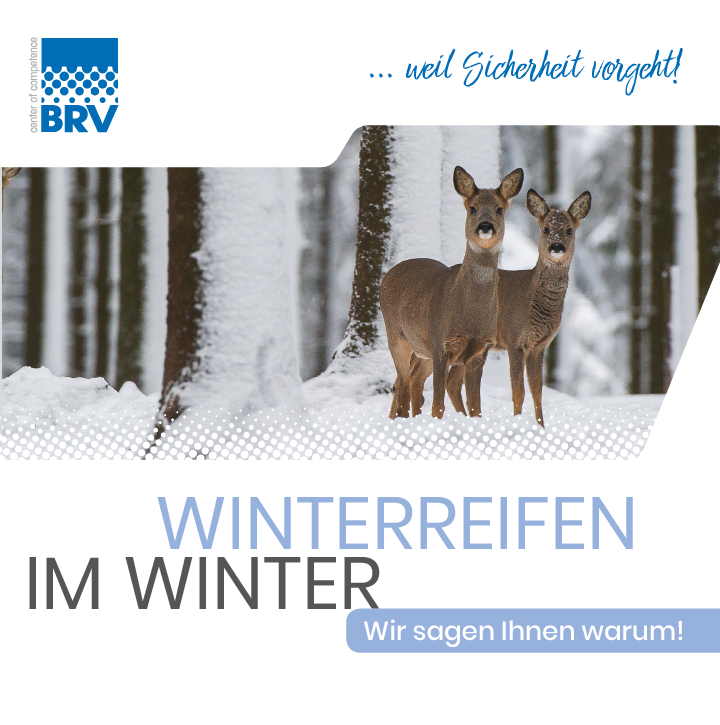 Winterreifen_im_Winter.PNG