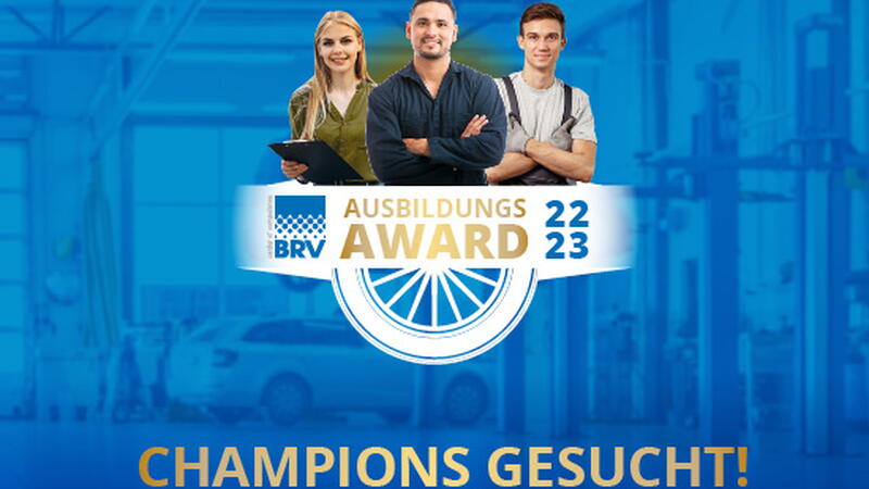 BRV_Web_Header_23.jpg