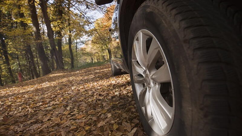 Reifen_Herbstwetter_iStock-836498246_web.jpg